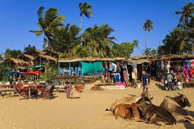 Image result for goa beaches