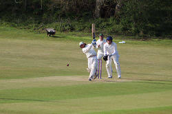 Image result for Elham Valley Cricket Club