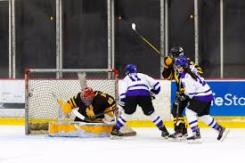 Image result for Brigg Hockey Club