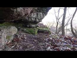 Attēlu rezultāti vaicājumam “Gymnostomum calcareum”