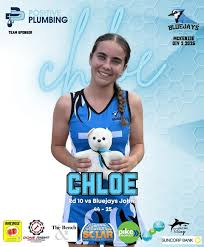 Image result for Blue Jays Netball Club