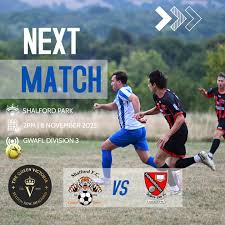 Image result for Shalford F C