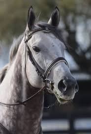 Image result for Bletchingly Badminton Club