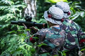 Image result for Cenarth Laser Combat
