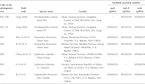 Attēlu rezultāti vaicājumam “Harpanthus flotovianus cells”