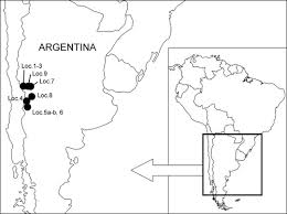 Attēlu rezultāti vaicājumam “Perichaena corticalis sessile”