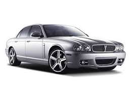Image result for Silver Fox 2008 Jaguar