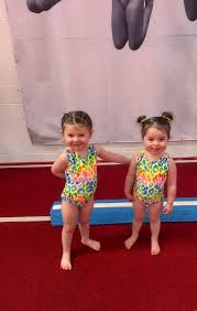 Image result for Redcar School Of Gymnastics