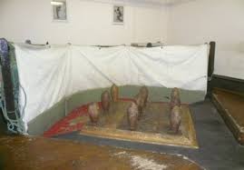 Image result for Hampstead Lawn Billiard & Skittle Club