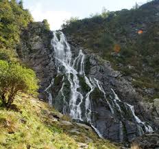 Attēlu rezultāti vaicājumam “Capra”