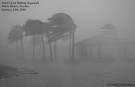 Hurricane Wilma Video Stock - Hurricane Wilma Video And Photos