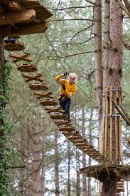 Image result for Go Ape! Moors Valley