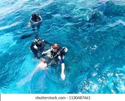Image result for Three Seas Diving