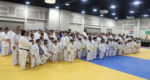 Image result for Halton Inclusive Judo Club