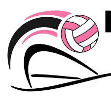 Image result for Minchenden Netball Club