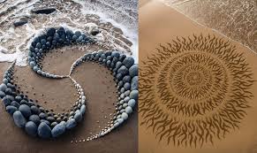 Attēlu rezultāti vaicājumam “Comatricha nigra young”