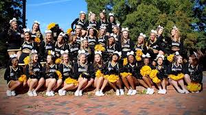 Image result for RT Twilights Cheerleading