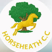 Image result for Longstanton Grasshoppers Cc
