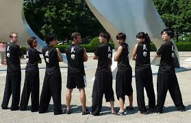 Image result for Dragon Wushu Club