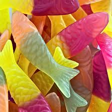 Image result for vissen