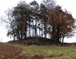 Image result for Oldbury S & Tc