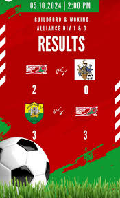 Image result for Chiddingfold Youth Fc