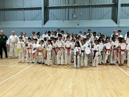 Image result for Caversham Karate Club SSKA