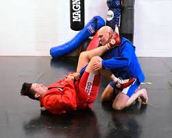 Image result for Combat Sambo