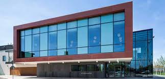 Image result for Parnells Gaelic Football Club