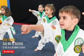 Image result for Beeches Martial Arts