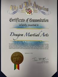 Image result for Dragon Martial Arts Association