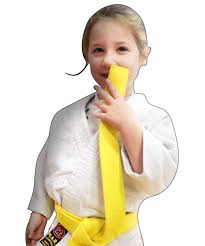 Image result for Gloucester Taijutsu Kai Self Defence