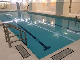 Image result for York University Pool Club