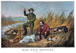 Image result for Shooting, Hunting, Fieldsports on Art prints from 1700's to 1900's