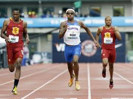 Image result for London Gators