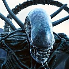 Image result for xenomorph