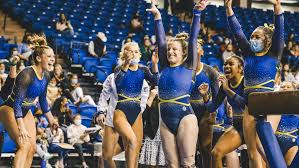 Image result for Weybridge Gymnastics