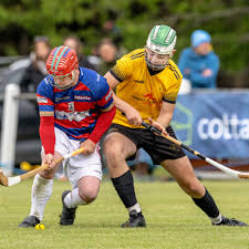 Image result for Lochcarron Camanachd