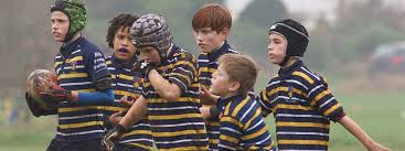 Image result for Old Cranleighan Football Club