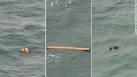 Official: Debris likely from AirAsia Flight QZ8501 - CNN.com