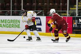 Image result for Cardiff Comets Ladies Ice Hockey