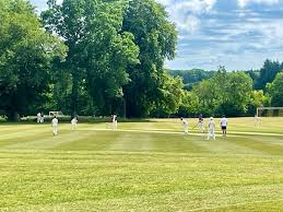 Image result for Tendring Cricket Club