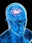 <b>Epilepsy</b> and Migraine