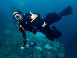 Image result for World Divers