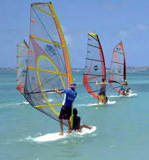 Image result for Aloha Sailboards