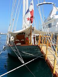 Image result for Xarifa