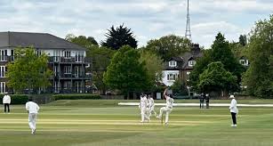 Image result for Beckenham Cricket Club