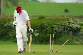 Image result for Timsbury Cricket Club