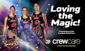 Image result for Integral Netball Club