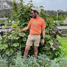 Image result for Calmore Sports Cc